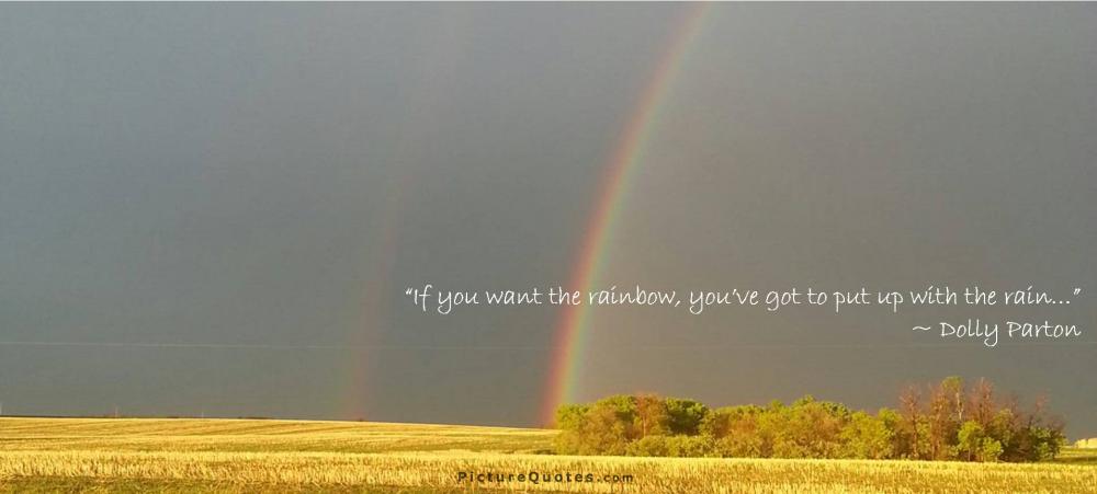 If you want the rainbow, you gotta put up with the rain Picture Quote #3