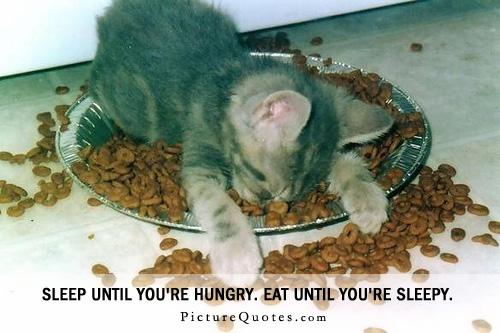 Sleep until you're hungry. Eat until you're sleepy Picture Quote #1