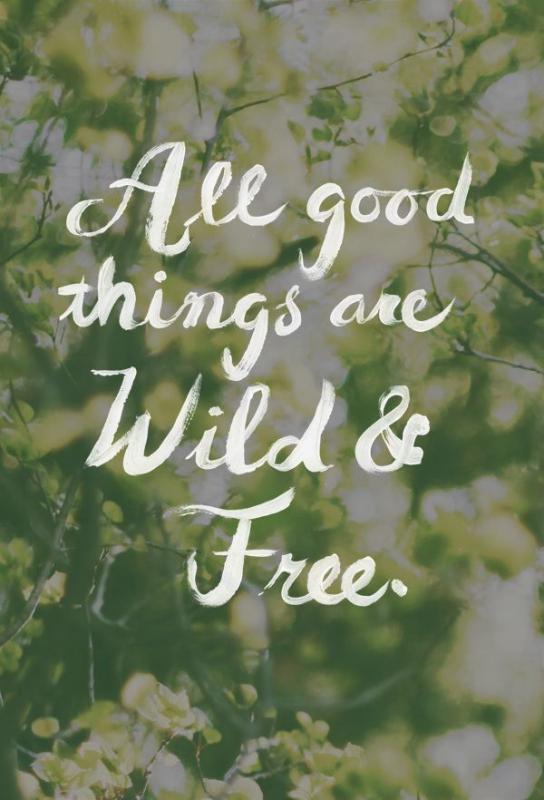 All good things are wild and free Picture Quote #1