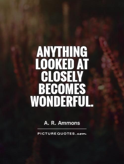 Anything looked at closely becomes wonderful Picture Quote #1