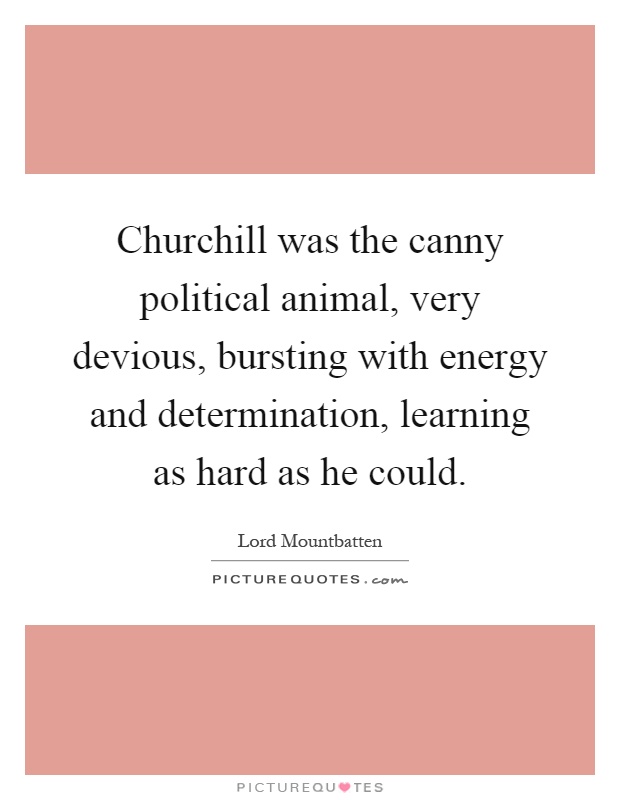 Churchill was the canny political animal, very devious, bursting with energy and determination, learning as hard as he could Picture Quote #1