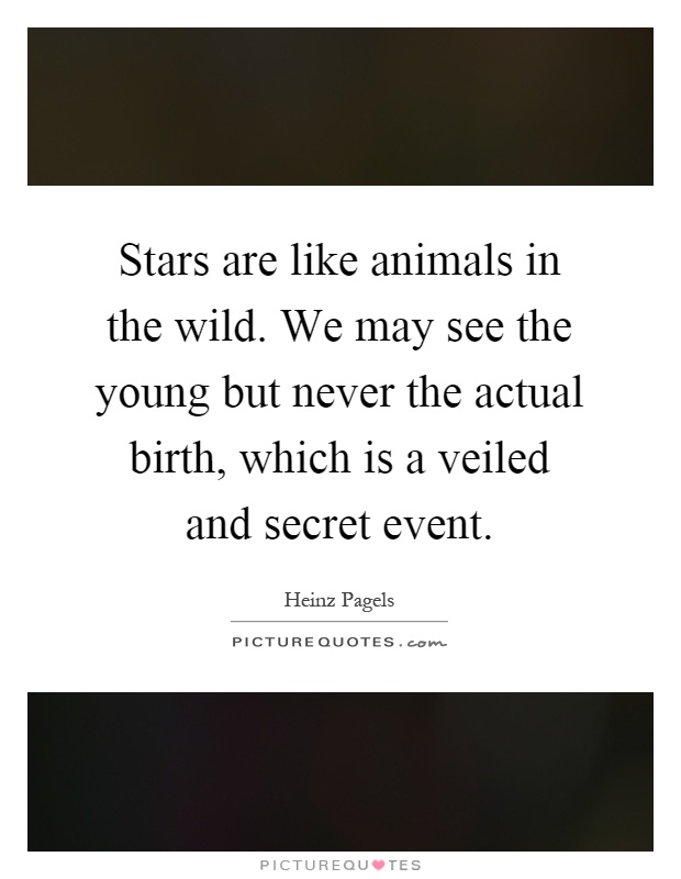 Stars are like animals in the wild. We may see the young but never the actual birth, which is a veiled and secret event Picture Quote #1