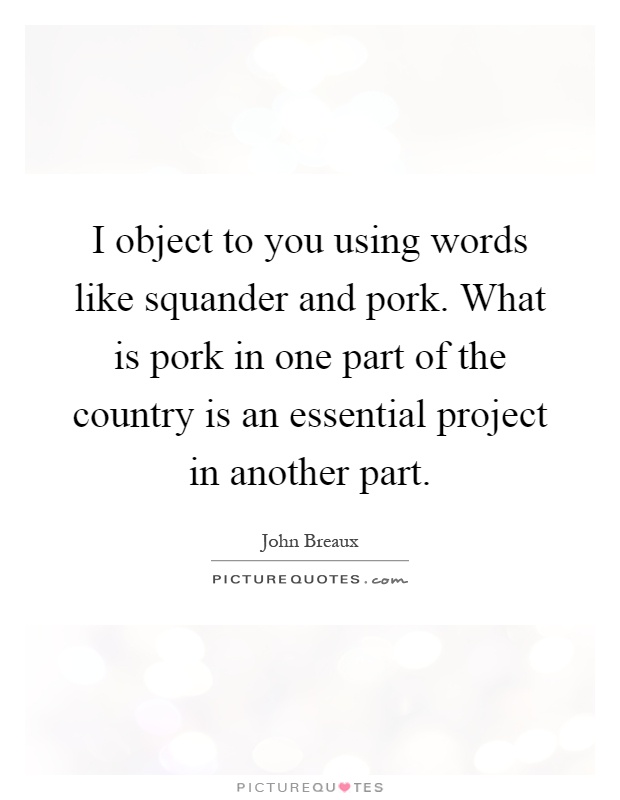 I object to you using words like squander and pork. What is pork in one part of the country is an essential project in another part Picture Quote #1