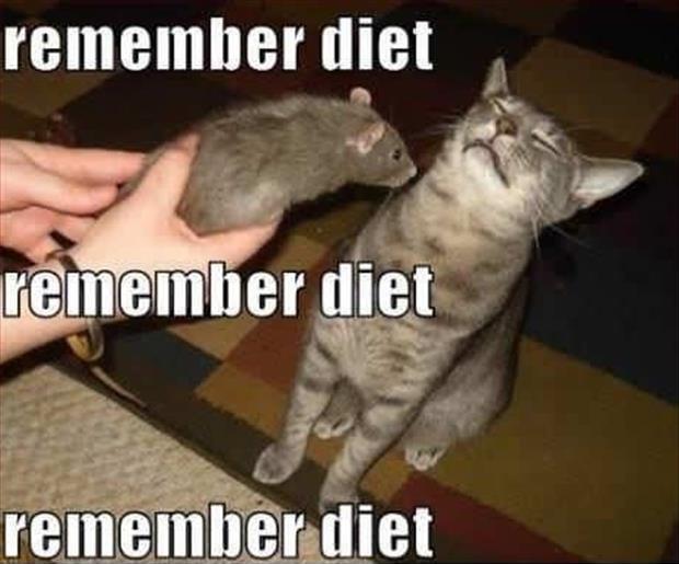 Remember diet. Remember diet. Remember diet Picture Quote #1