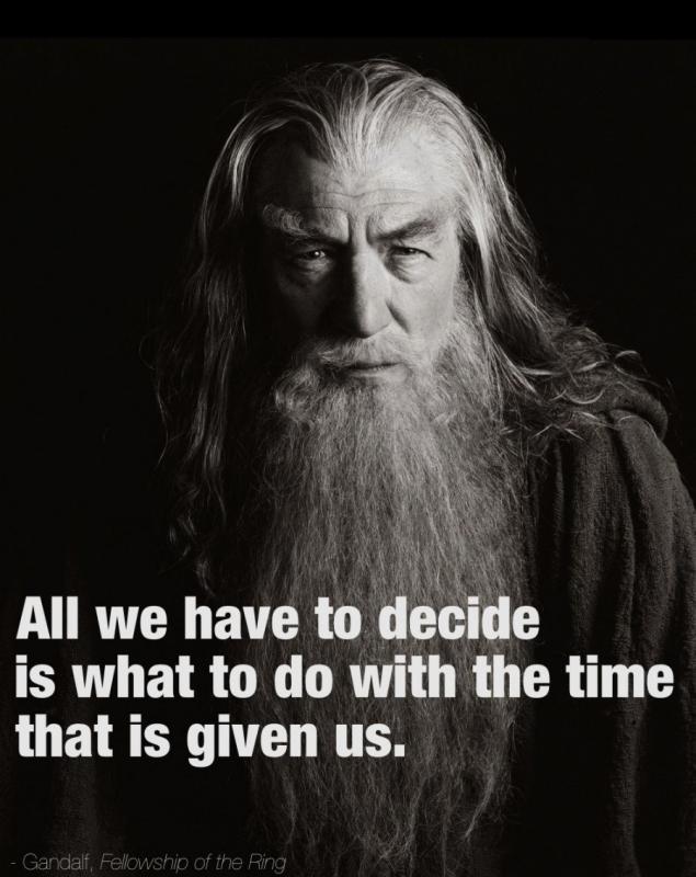 All we have to decide is what to do with the time that is given us Picture Quote #1