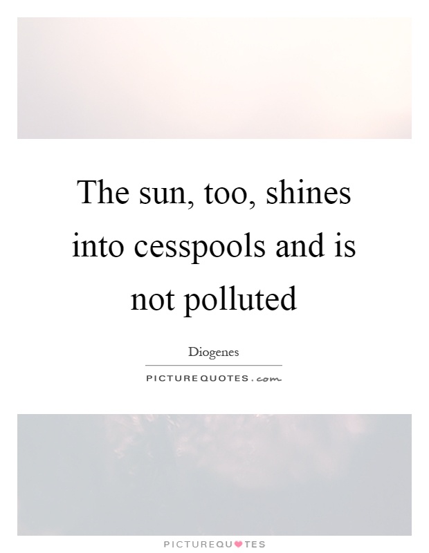 The sun, too, shines into cesspools and is not polluted Picture Quote #1