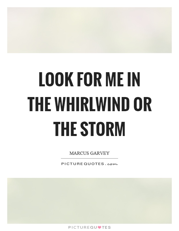 Look for me in the whirlwind or the storm Picture Quote #1