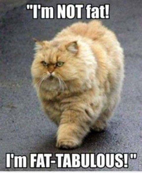 I’m not fat! I’m fat-tabulous! Picture Quote #1