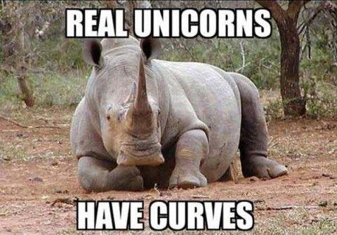 Real unicorns have curves Picture Quote #1
