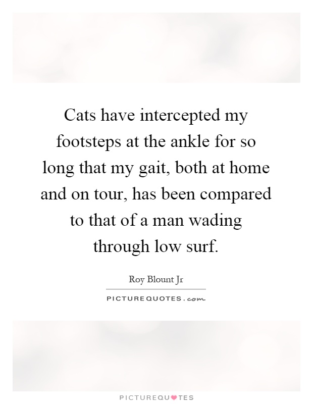 Cats have intercepted my footsteps at the ankle for so long that my gait, both at home and on tour, has been compared to that of a man wading through low surf Picture Quote #1