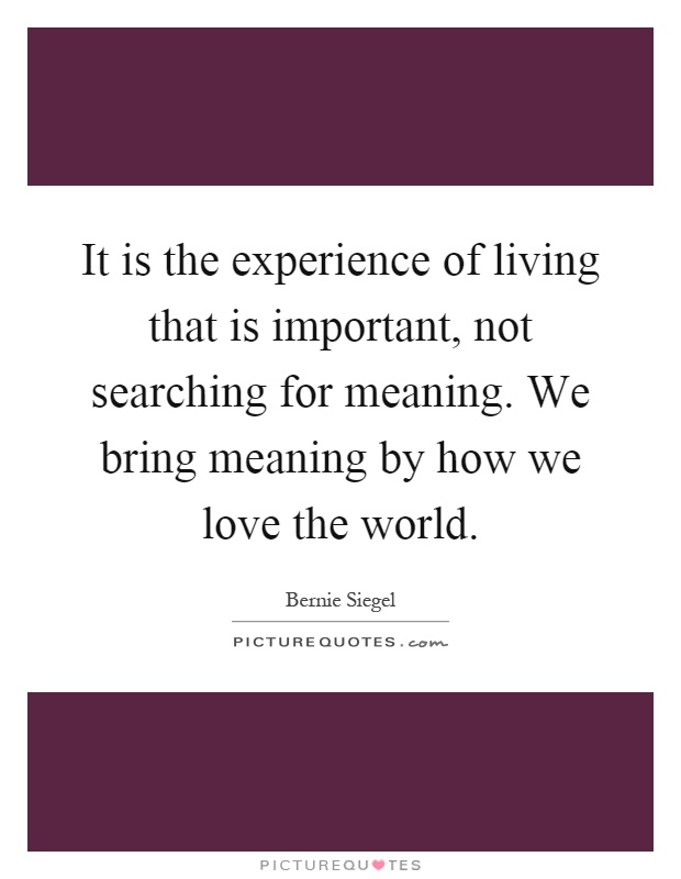 It is the experience of living that is important, not searching for meaning. We bring meaning by how we love the world Picture Quote #1