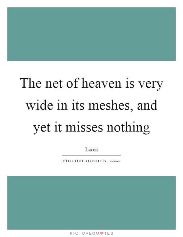 The net of heaven is very wide in its meshes, and yet it misses nothing Picture Quote #1