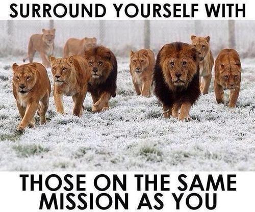 Surround yourself with those on the same mission as you Picture Quote #1