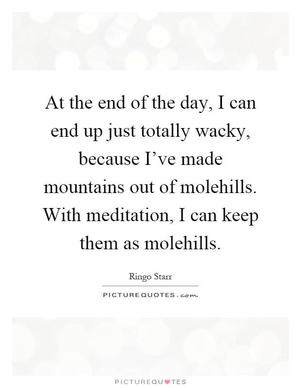 At the end of the day, I can end up just totally wacky, because I’ve made mountains out of molehills. With meditation, I can keep them as molehills Picture Quote #1