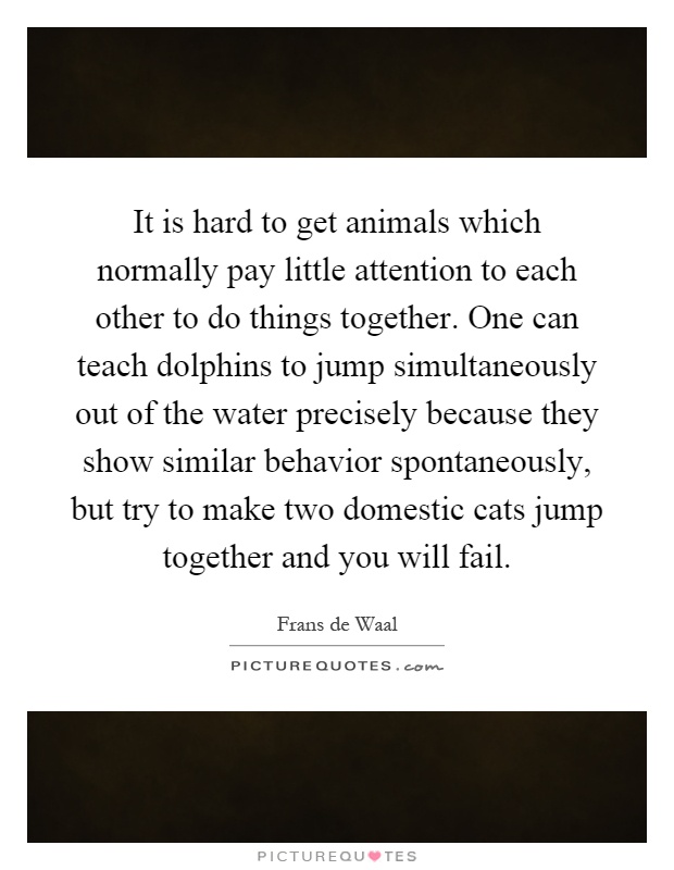 It is hard to get animals which normally pay little attention to each other to do things together. One can teach dolphins to jump simultaneously out of the water precisely because they show similar behavior spontaneously, but try to make two domestic cats jump together and you will fail Picture Quote #1