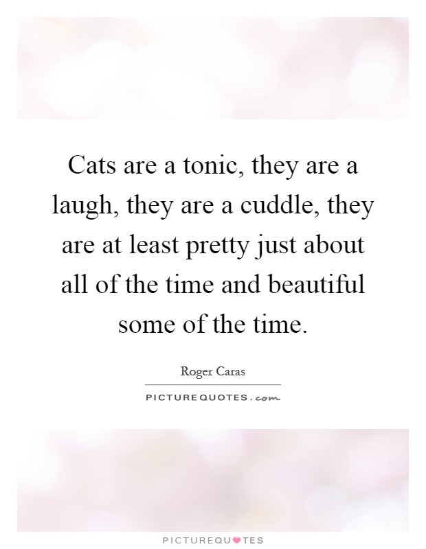 Cats are a tonic, they are a laugh, they are a cuddle, they are at least pretty just about all of the time and beautiful some of the time Picture Quote #1