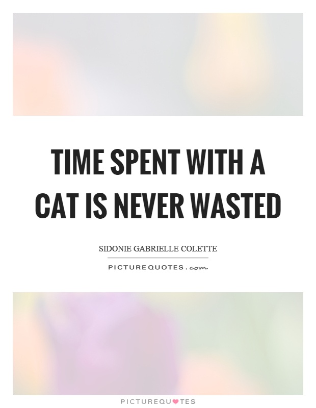 Time spent with a cat is never wasted Picture Quote #1