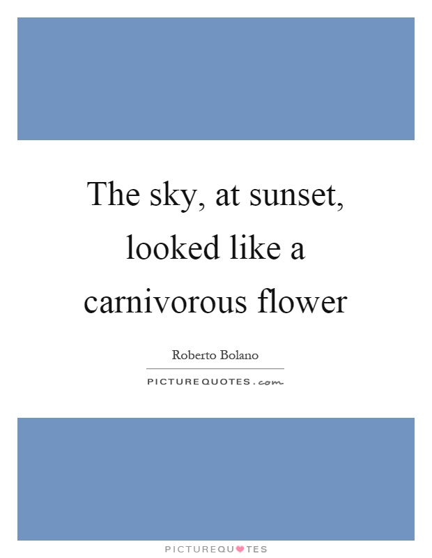The sky, at sunset, looked like a carnivorous flower Picture Quote #1