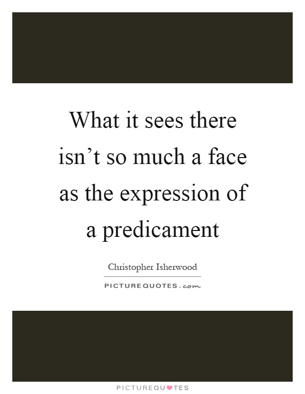 What it sees there isn’t so much a face as the expression of a predicament Picture Quote #1