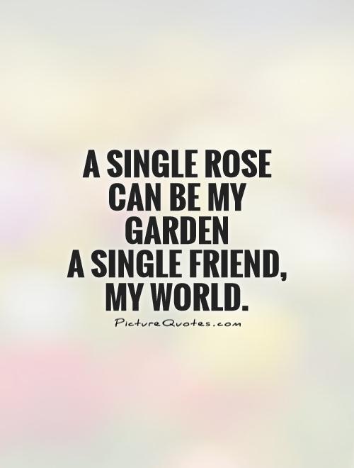 A single rose can be my garden   A single friend, my world Picture Quote #1