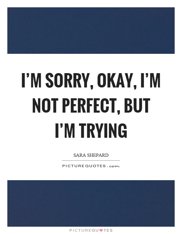 im sorry im not perfect