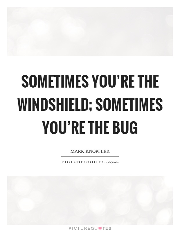 Sometimes you’re the windshield; sometimes you’re the bug Picture Quote #1