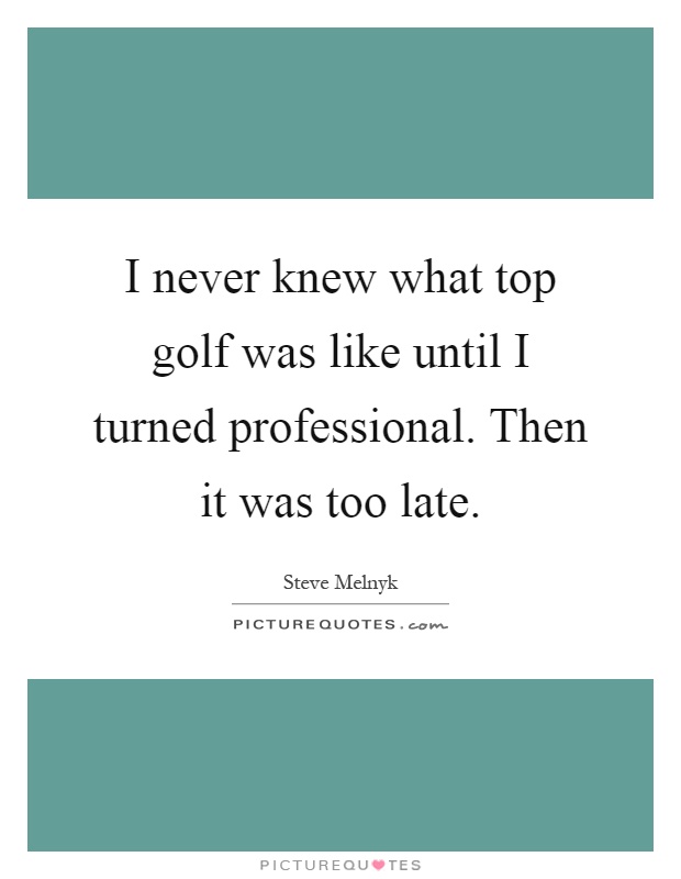 I never knew what top golf was like until I turned professional. Then it was too late Picture Quote #1