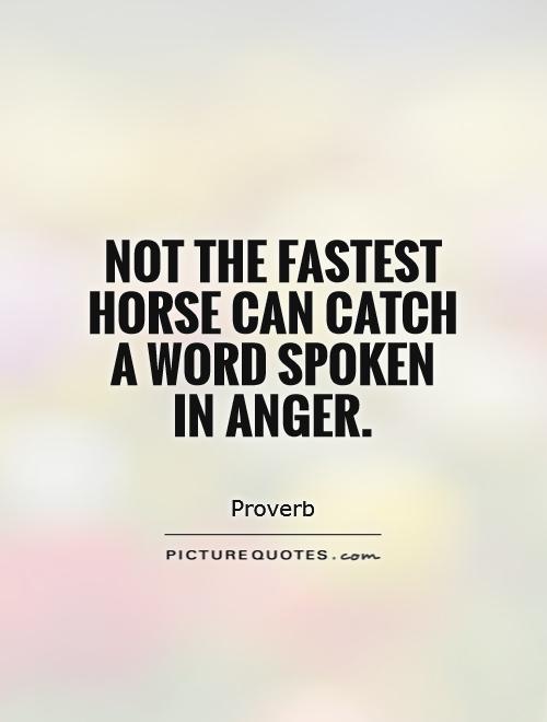 Not the fastest horse can catch a word spoken in anger Picture Quote #1