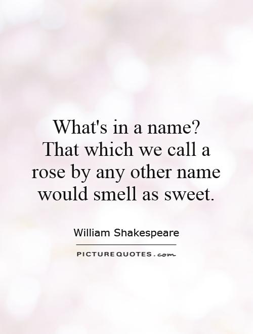 what-s-in-a-name-that-which-we-call-a-rose-by-any-other-name