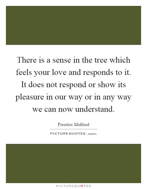 There is a sense in the tree which feels your love and responds to it. It does not respond or show its pleasure in our way or in any way we can now understand Picture Quote #1