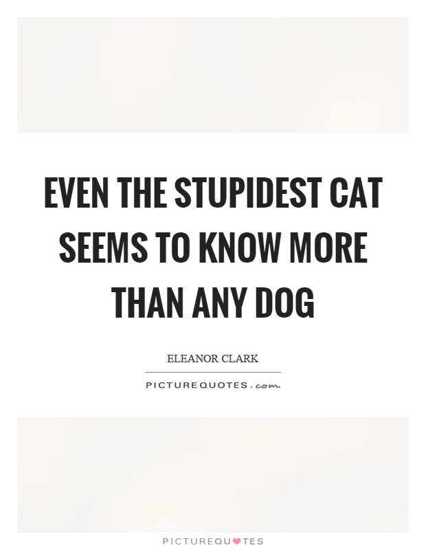 Even the stupidest cat seems to know more than any dog Picture Quote #1