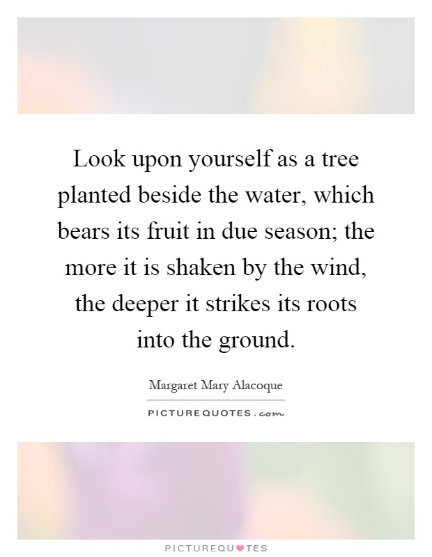 Look upon yourself as a tree planted beside the water, which bears its fruit in due season; the more it is shaken by the wind, the deeper it strikes its roots into the ground Picture Quote #1