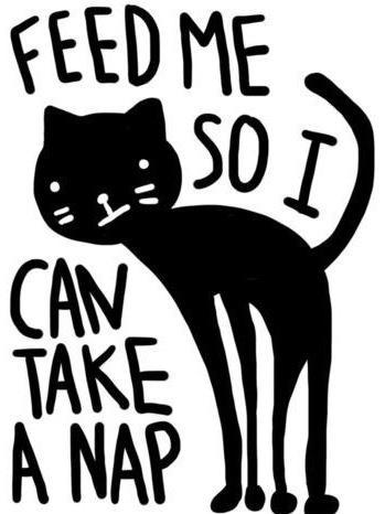 Feed me so i can take a nap | Picture Quotes