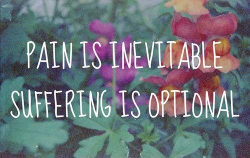 Pain Is Inevitable. Suffering Is Optional Picture Quote #1