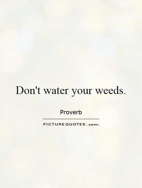 Don't water your weeds Picture Quote #1
