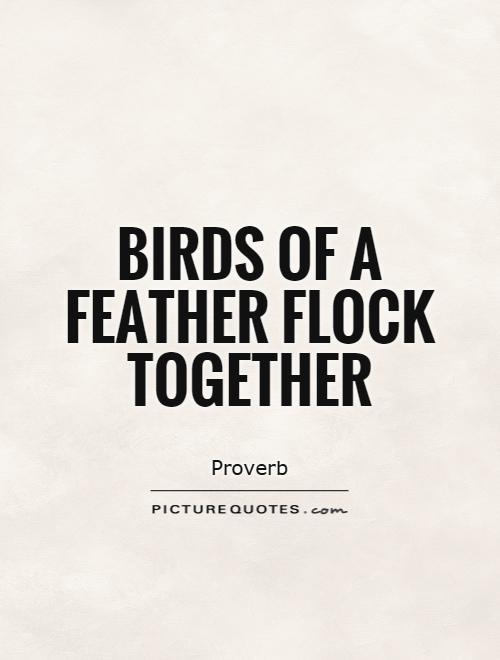 Birds Of A Feather Flock Together Picture Quotes