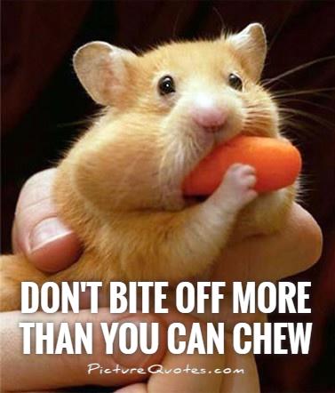 Don't bite off more than you can chew Picture Quote #1