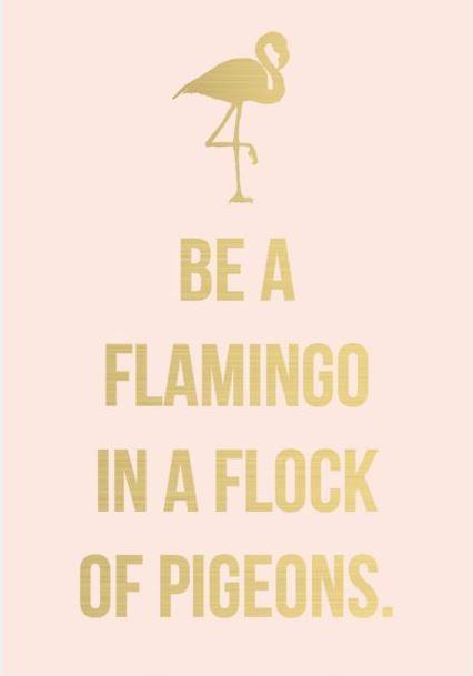 Be a flamingo in a flock of pigeons Picture Quote #1