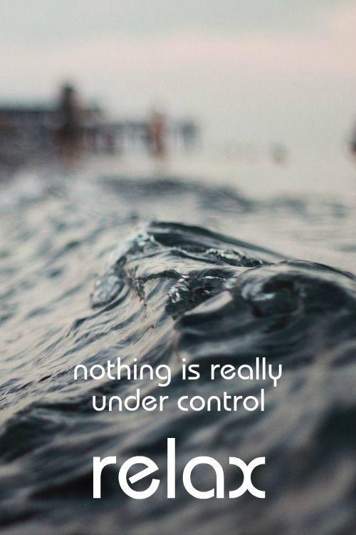 Relax. Nothing is under control Picture Quote #2