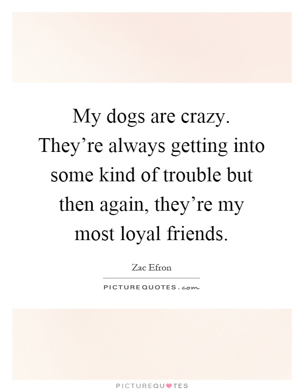 My dogs are crazy. They’re always getting into some kind of trouble but then again, they’re my most loyal friends Picture Quote #1