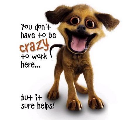 you-dont-have-to-be-crazy-to-work-here-but-it-sure-helps-quote-2.jpg