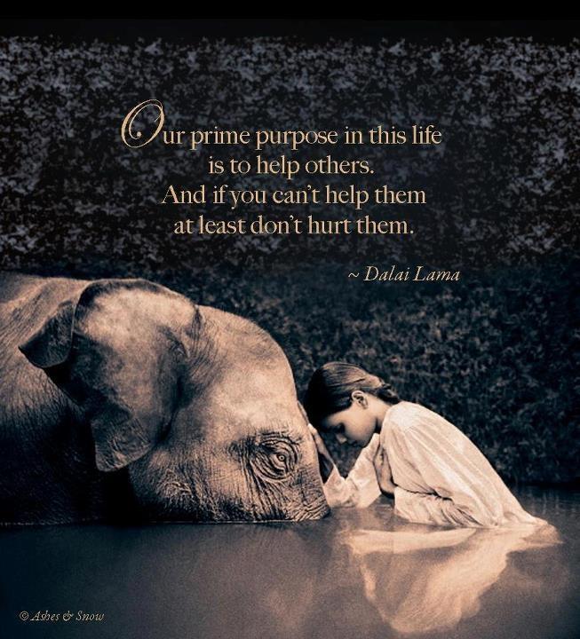 Our prime purpose in this life is to help others. And if you can't help them, at least don't hurt them Picture Quote #1