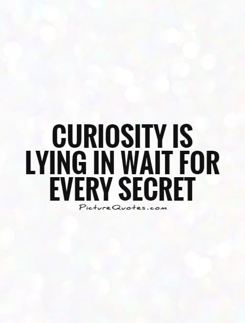 Curiosity is lying in wait for every secret Picture Quote #1