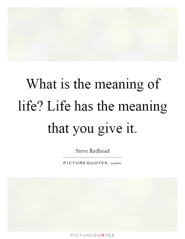 What is the meaning of life? Life has the meaning that you give it Picture Quote #1