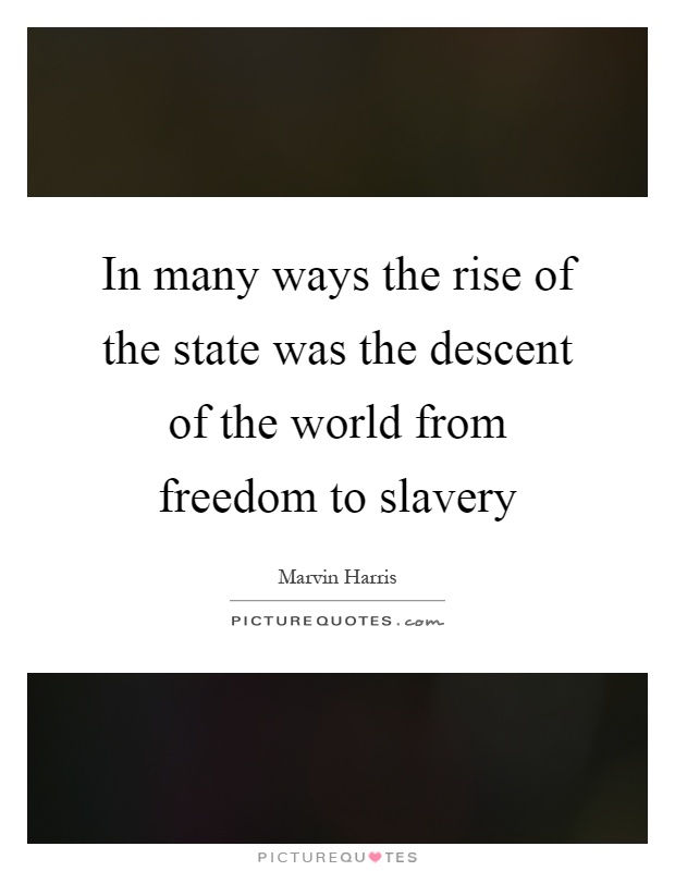 In many ways the rise of the state was the descent of the world from freedom to slavery Picture Quote #1