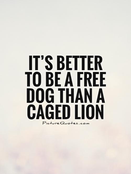 It's better to be a free dog than a caged lion Picture Quote #1