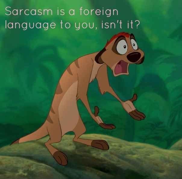 Sarcasm is a foreign language to you, isn't it? Picture Quote #1
