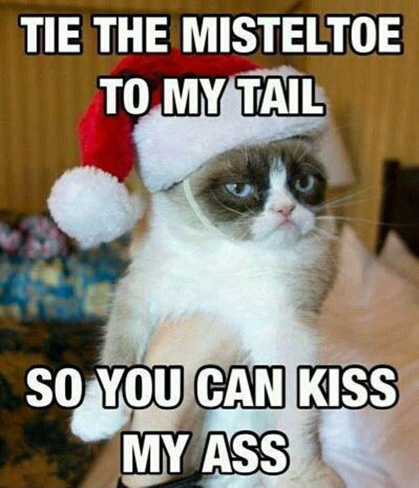Tie the mistletoe to my tail, so you can kiss my ass Picture Quote #1