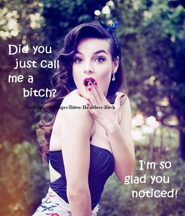 Did you just call me a bitch? I'm so glad you noticed Picture Quote #1
