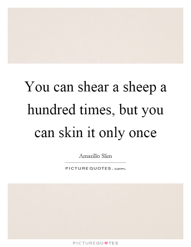 You can shear a sheep a hundred times, but you can skin it only once Picture Quote #1